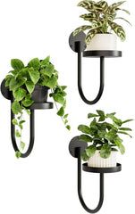 3x BAMWORLD stensko stojalo za rastline U-oblike