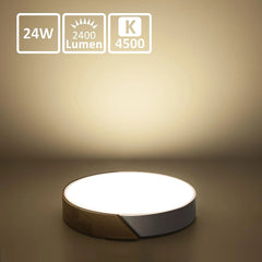KAMBO 30 cm LED stropna svetilka 24 W 4500 K