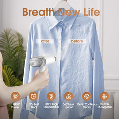 MISTSINCE Ročni parni likalnik z dvema načinoma delovanja