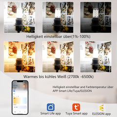 I-SHUNFA pametna Wi-Fi LED z upravljanjem preko aplikacije in glasovno - 2 kosa