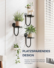 3x BAMWORLD stensko stojalo za rastline U-oblike