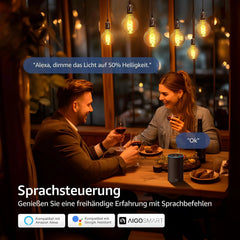 Aigostar Pametna WiFi LED Sijalka E27 1 Kos