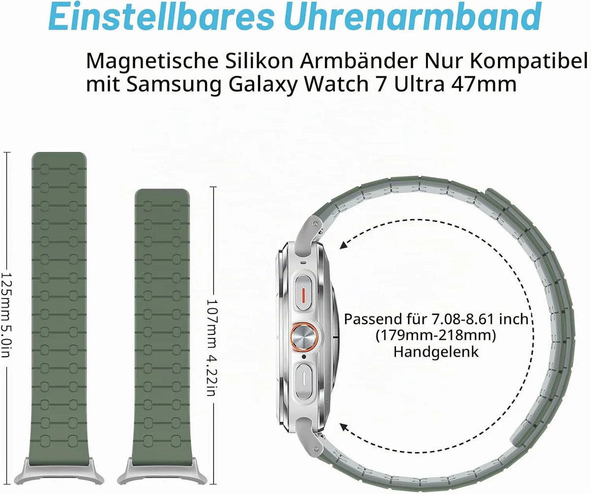 Amizee Magnetni Pasček za Galaxy Watch