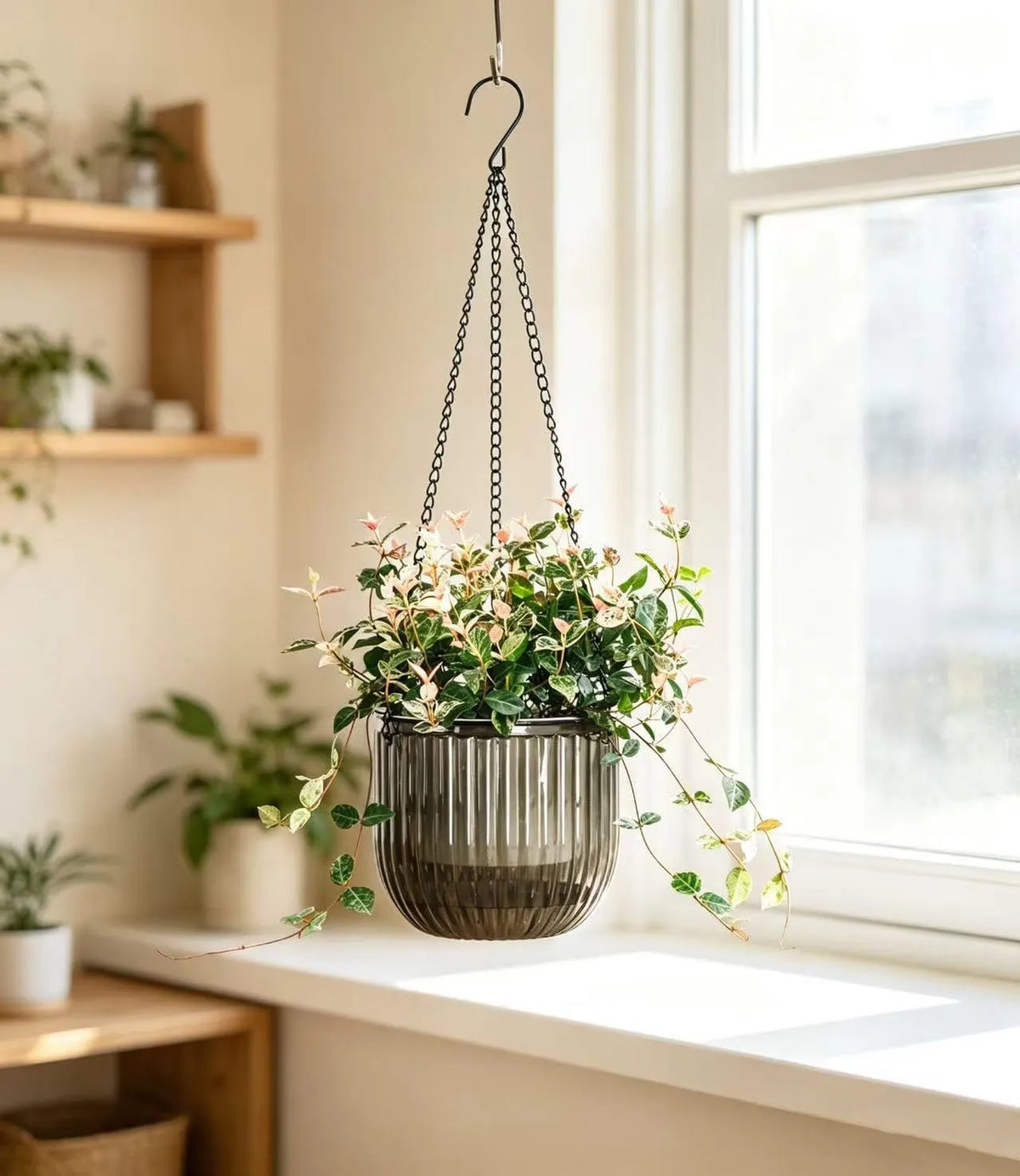 Calvalor Viseči Cvetlični Lonci 16.5 cm 2 Kosa