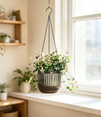 Calvalor Viseči Cvetlični Lonci 16.5 cm 2 Kosa