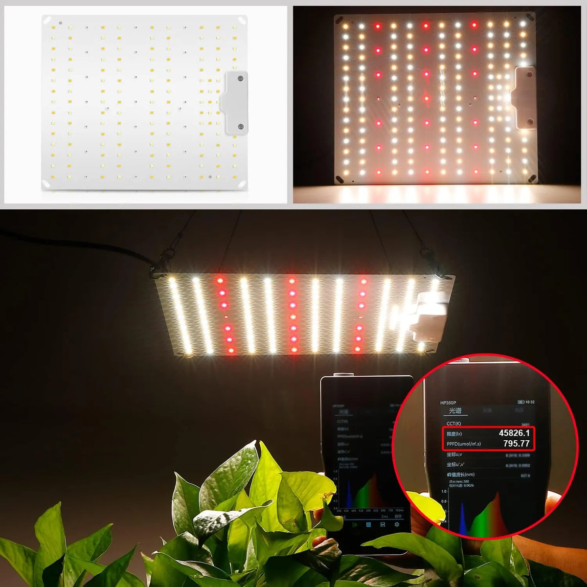 LED Luč za Rastline Polnega Spektra