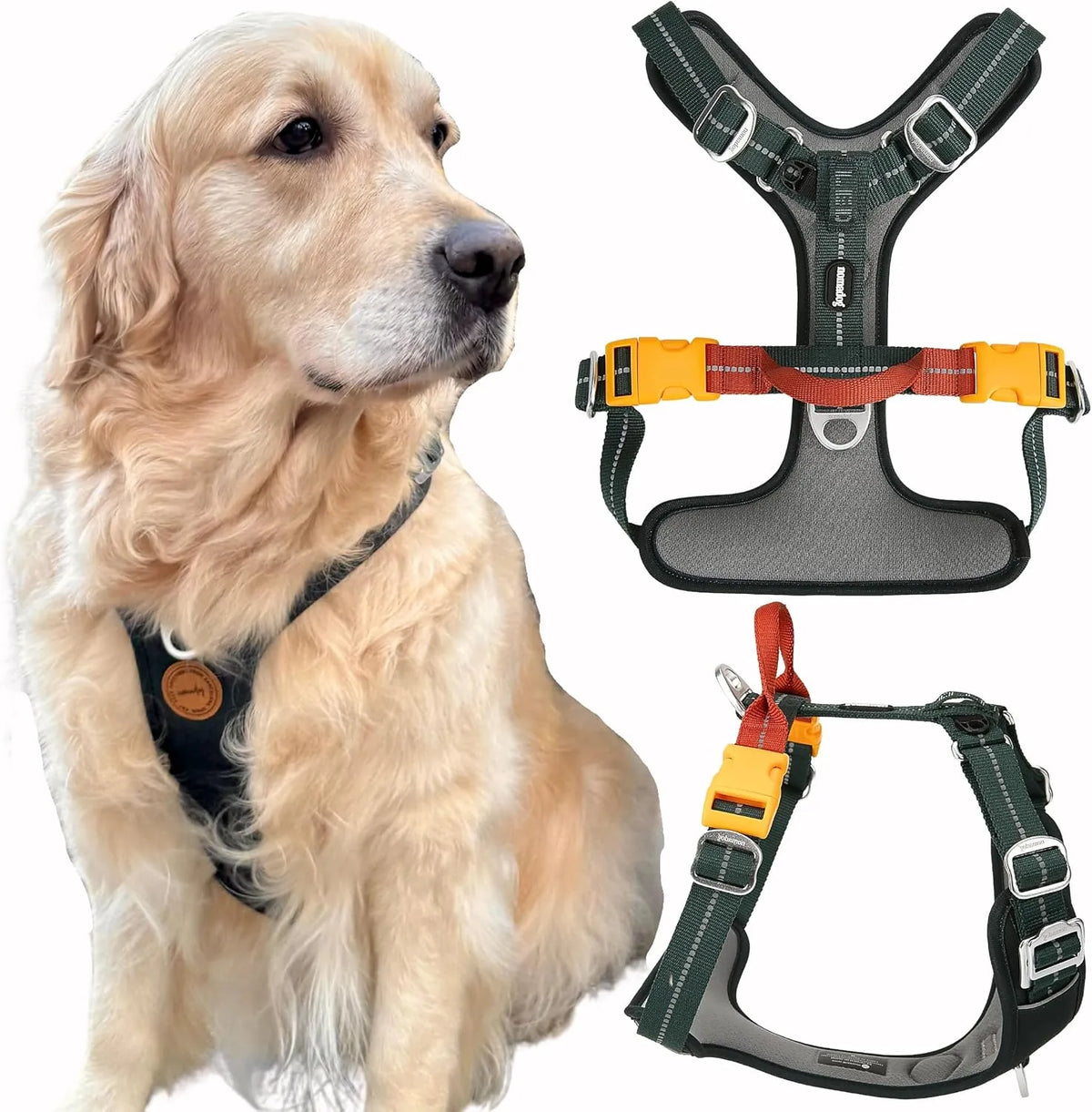 Nomadog Oprsnica Za Pse Trailblazer
