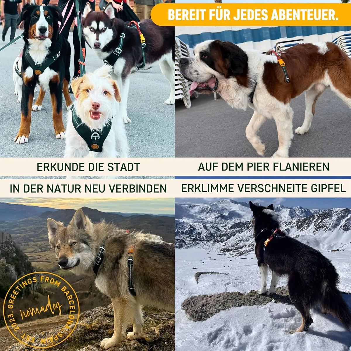 Nomadog Oprsnica Za Pse Trailblazer