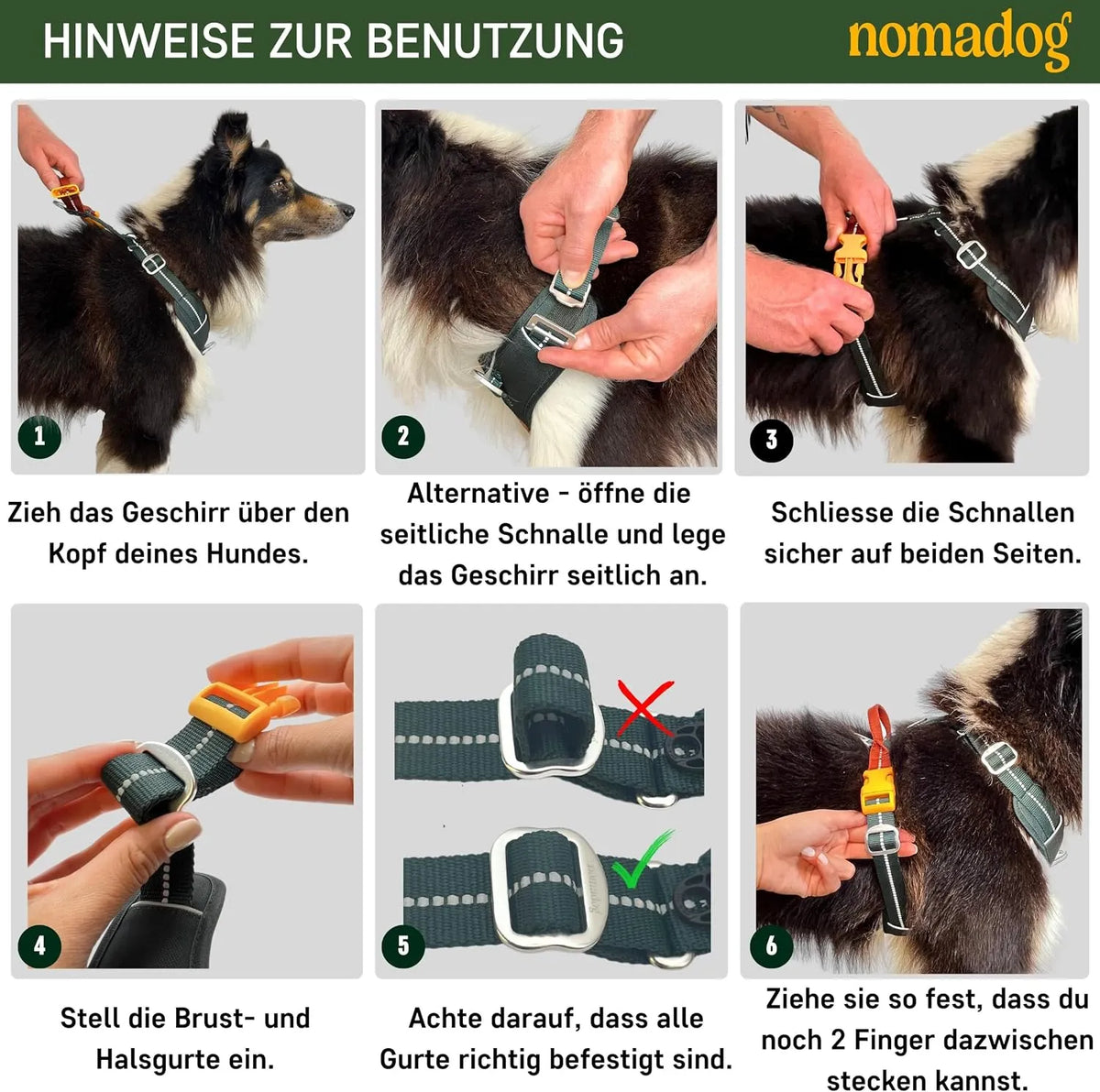 Nomadog Oprsnica Za Pse Trailblazer