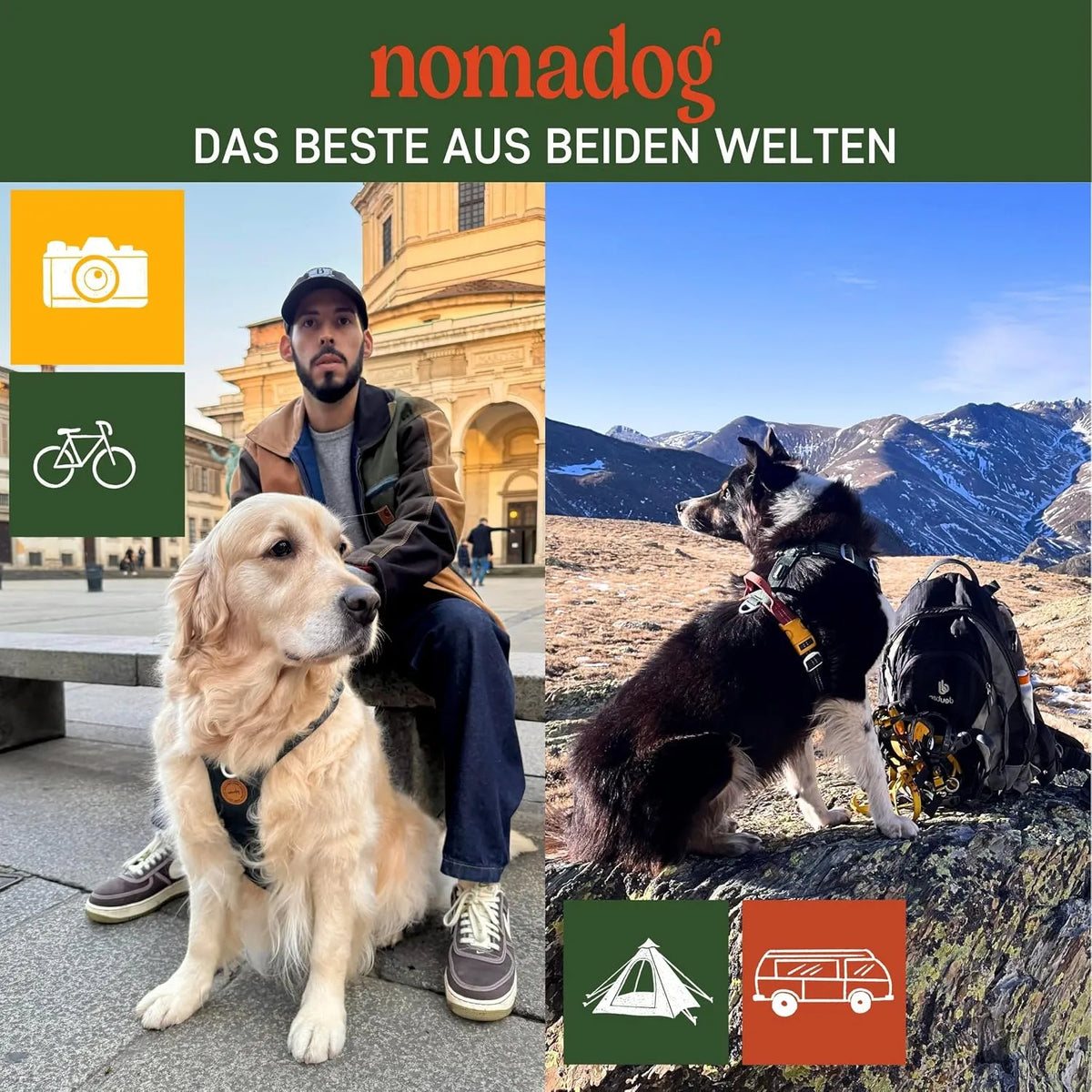 Nomadog Oprsnica Za Pse Trailblazer