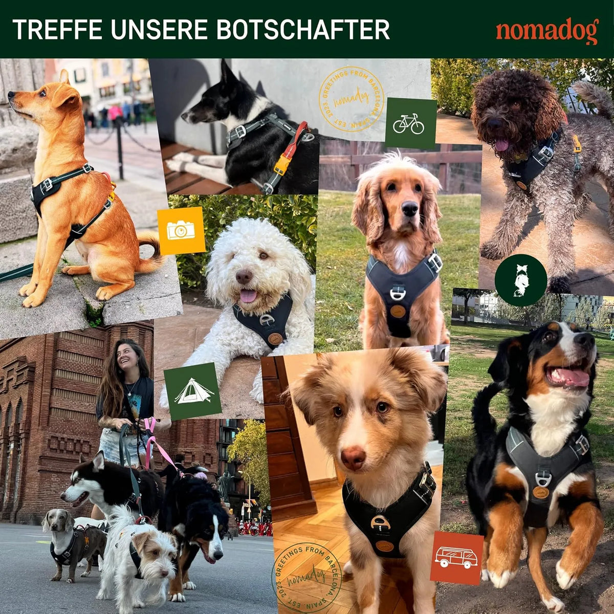 Nomadog Oprsnica Za Pse Trailblazer