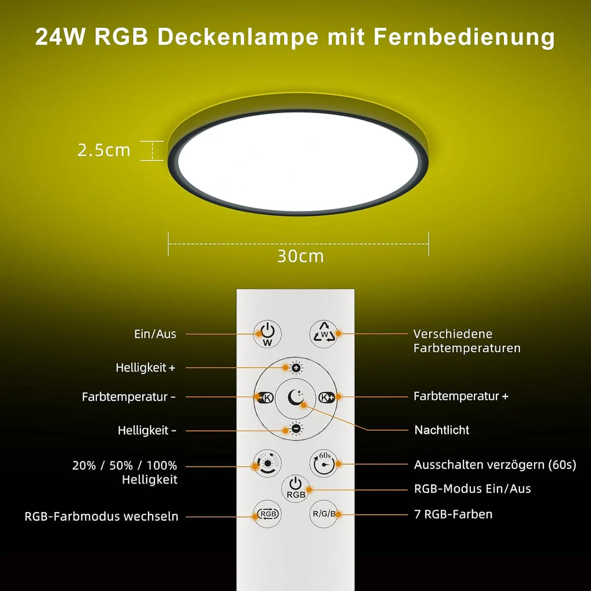 Shenzhen E-Lover Technology LED Stropna Svetilka 30 cm