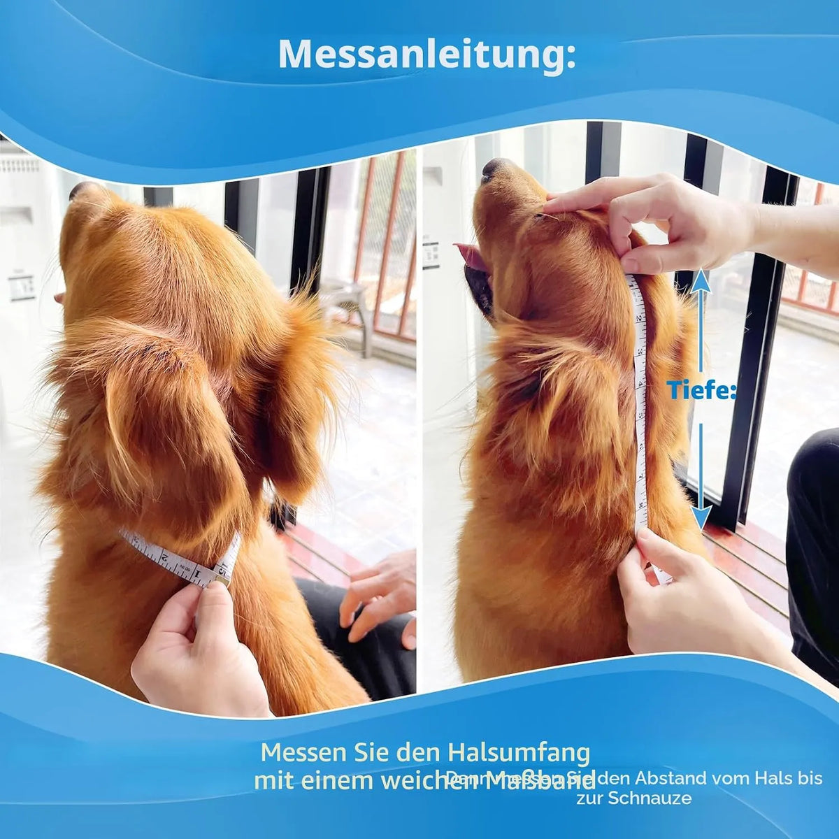 Zaščitni Ovratnik za Pse 1 Kos